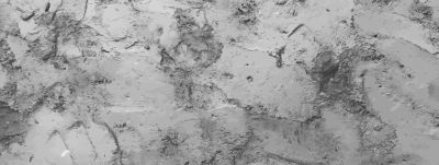 Premium Wall Finishes